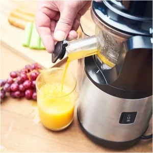Gastroback Slow Juicer Advanced Vital 40145 Entsafter Edelstahl/schwarz 16